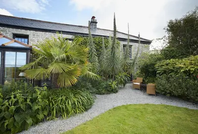 a garden with palm trees and plants in front of a house at Tregadjack Farmhouse in Crowan