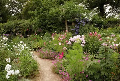 a garden filled with lots of different colored flowers at Spring Water Barn in Helston