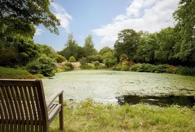 a park bench sitting in front of a pond at St Corantyn Cottage in Helston