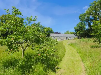 a path through an apple tree in a field at Drovers in Lanteglos