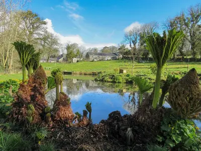 a garden with palm trees and a pond at Drovers in Lanteglos
