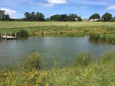 a small pond with a wooden dock in a field at Lower Shippen - 23493 in North Petherwin
