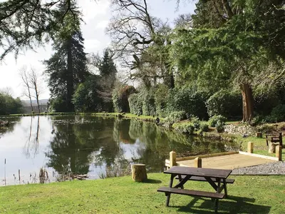 a picnic table in front of a pond with a bench at Heligan - B6522 in Saint Cleer