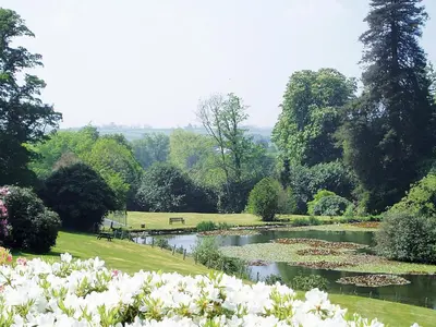 a garden with a pond with flowers in it at Trevarno - B6527 in Saint Cleer