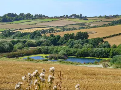 a view of a field with a lake in it at The Stable in Crowan