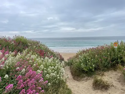 a beach with pink and white flowers and the ocean at Pottsville Cabin Sleeps 4 with Deck in Praa Sands