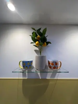 a glass shelf with two cups and a plant on it at Citrus Chalet in Redruth