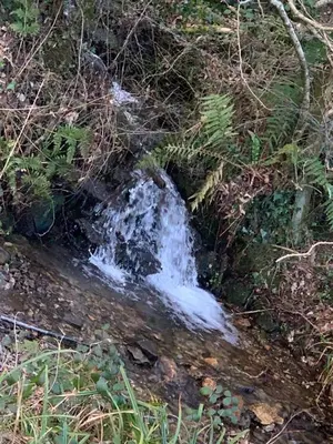 a small waterfall on the side of a creek at Brook Lodge in Liskeard