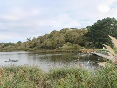 a boat on a river with a bridge and trees at Primrose Cottage in Falmouth
