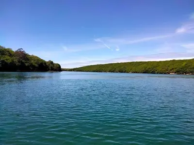 a large body of water with trees in the background at Modern cosy apartment walking distance to many cove beaches and coast path walks as well as the famous Helford river in Falmouth