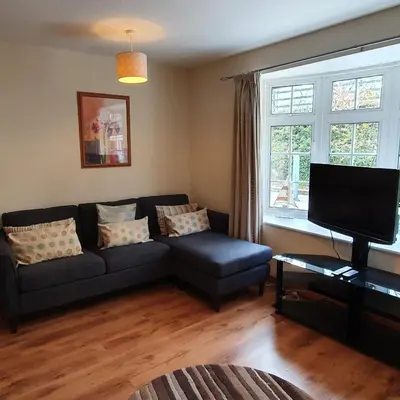a living room with a couch and a flat screen tv at 11 Granite Henge in Pelynt