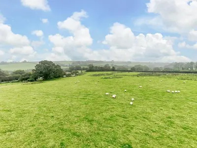 a herd of sheep grazing in a green field at 1 Bed in Callington oc-54344 in Linkinhorne