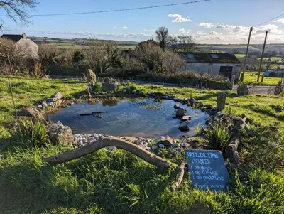 a small pond in the middle of a field at Jam First - Lydcott Glamping, Cornish Sea Views in East Looe