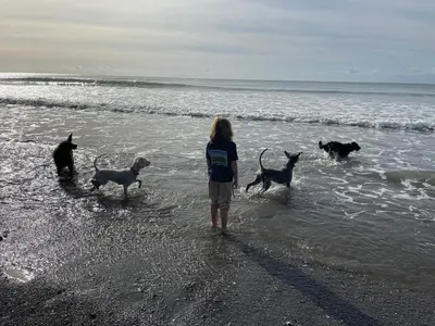 a girl standing on the beach with a group of dogs at Jam First - Lydcott Glamping, Cornish Sea Views in East Looe