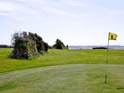 a golf hole with a flag in the grass at Chalet Hot Tub Lodge 3 by Interhome in Helston