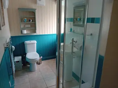 a bathroom with a toilet and a sink at The Barn in Penzance
