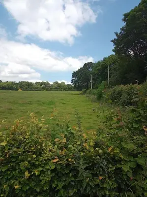 a field of green grass with trees in the background at Trelowen Cottage in Callington