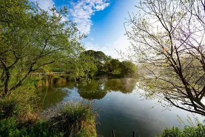 a view of a river with trees on the side at Holiday Home - St Austell in St Austell