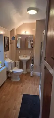 a bathroom with a sink and a toilet and a mirror at Moonraker Room with a View with ensuite shower room in St Austell
