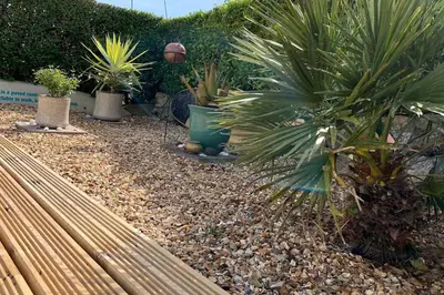 a garden with palm trees and a wooden bench at Rymer-Leigh in Marazion