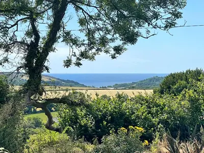 a view of a field and the ocean from a tree at Dreckly cabin - Lydcott Glamping with Cornish sea views in Looe