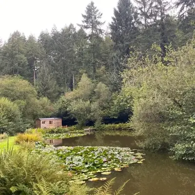 The Goose Nest luxury lakeside shepherd hut in Cardinham Woods