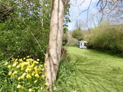 a tree in the middle of a garden with yellow flowers at Grain Store 2 - 29636 in Portloe