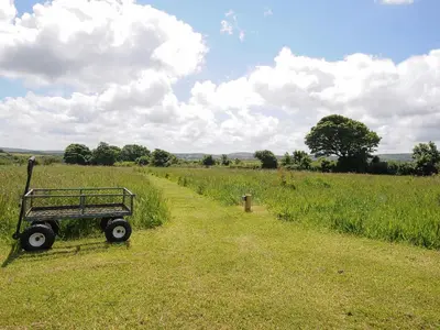 a field with a wagon in the middle of a field at Rowan in Launceston