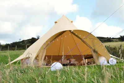 a yellow tent in a field of tall grass at Tylda Tents at Heydaze Campsite - 5m Luxury Bell Tent 