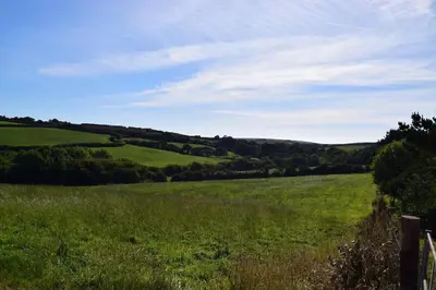 a field of green grass with a wooden fence at The Garden Room - Cabin on The Lizard in Cury