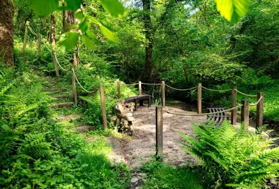 a wooden path with a bench in a forest at Spice Barn in Liskeard
