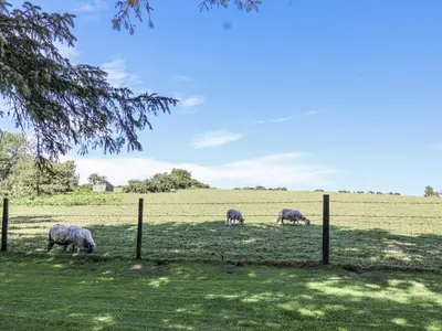 three sheep grazing in a field behind a fence at The Hayloft in Liskeard