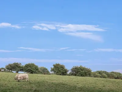 two animals grazing on a grassy hill in a field at The Byre in Liskeard