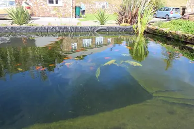 a pond filled with kites in a yard at The BarnsPigallie in Redruth