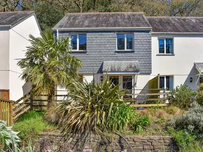 a house with a palm tree in front of it at Dreckly in Falmouth