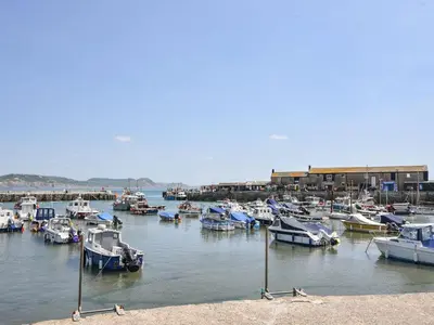 a bunch of boats are docked in a harbor at Willow View in Wadebridge