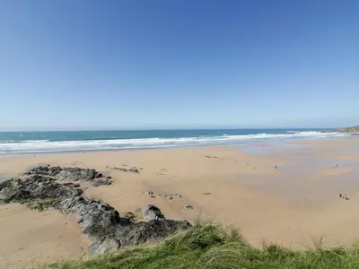a beach with a bunch of birds on the sand at Fistral Tide in Newquay