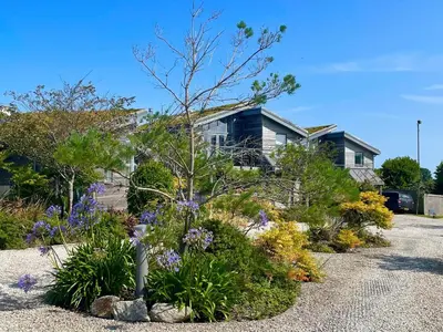 a garden of flowers in front of a house at Una, Lodge 73 in St Ives