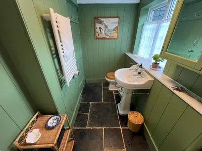 a green bathroom with a sink and a toilet at Rosebank Cottage in Boscastle