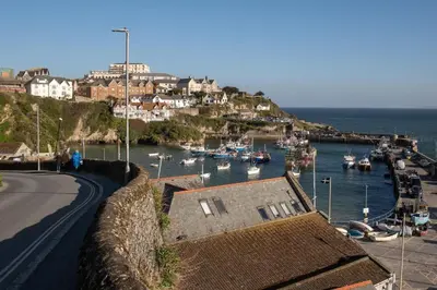 a view of a harbor with boats in the water at Spacious Flat Sea Views & Private Parking Fistral in Newquay