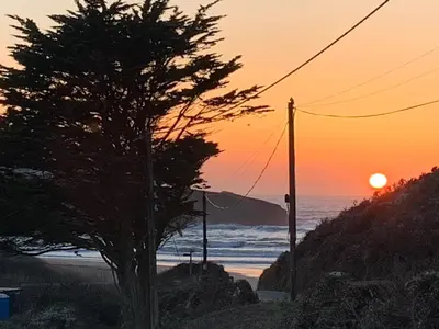 a tree on the beach with the sunset in the background at The Lookout in Padstow