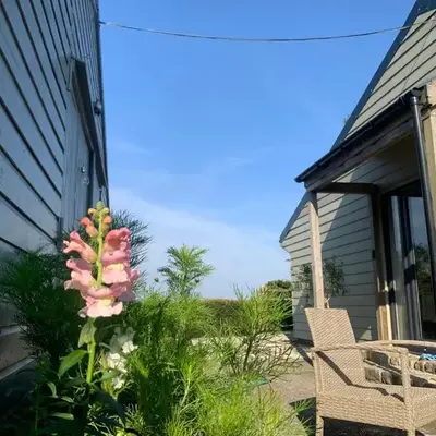 Field View