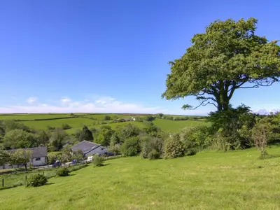 a tree in the middle of a green field at Linney Cottage - Uk48986 in Looe