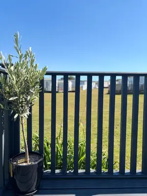 a potted plant sitting on a balcony with a field at Padstow Holiday Base Bright Two Bedroom Lodge at Seven Bays in St Merryn