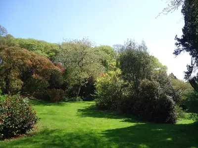 a garden with green grass and trees and bushes at Pandia Cottage in Bodmin