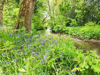 a garden with purple flowers next to a river at Riverside farm cottage on private wildlife estate 3-bedrooms in Washaway