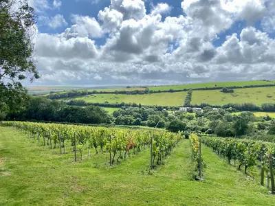 a vineyard in a green field with clouds in the sky at Riverside cottage on private wildlife estate 2-bed in Washaway