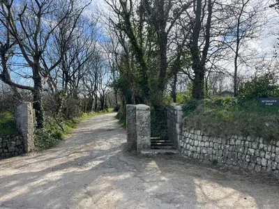 a dirt road next to a stone wall at Hednes Barn in Crowan