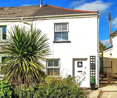 a white house with a palm tree in front of it at Charming Chardan Cottage, Fowey in Fowey