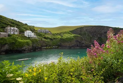 a body of water with houses and flowers in the foreground at Tresevens in Polzeath